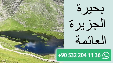 بحيرة الجزيرة العائمة